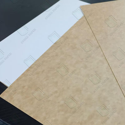 좋은 가격 식품 등급 코팅 크라프트 백 보드 CKB 방습 600x900mm 700x1000mm 온라인으로